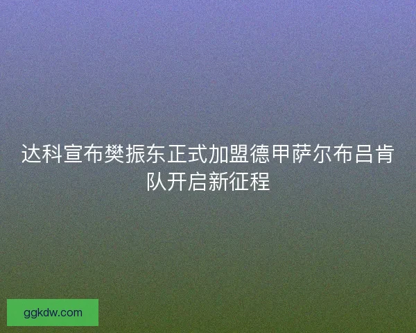 达科宣布樊振东正式加盟德甲萨尔布吕肯队开启新征程