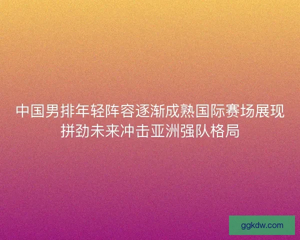 中国男排年轻阵容逐渐成熟国际赛场展现拼劲未来冲击亚洲强队格局
